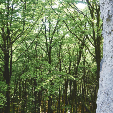 Unterwegs in der Stierberger Gemsenwand