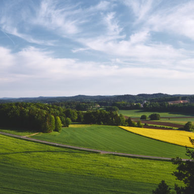 Ausblick vom Umlenker der Südwand (5+) im Bereich Wandl an der Hohen Reute